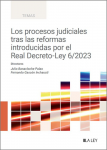 Los procesos judiciales tras las reformas introducidas por el Real Decreto-Ley 6/2023 vignette